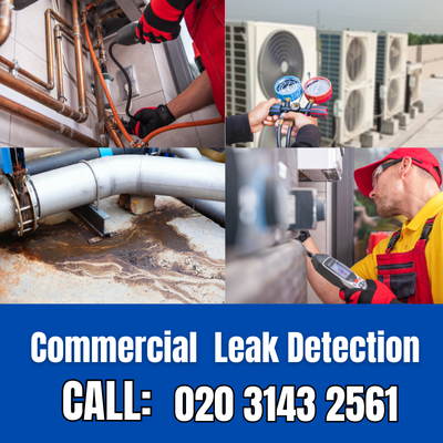 Commercial Leak Detection Services in Chertsey | Chertsey Leak Detection