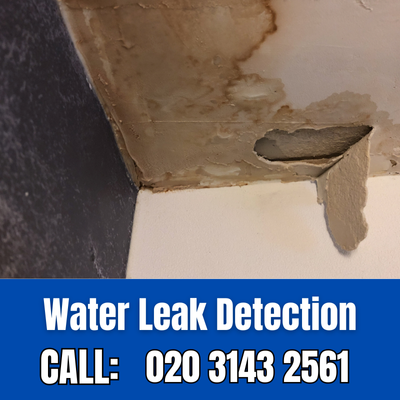 Expert Water Leak Detection Services in Chertsey | Chertsey Leak Detection